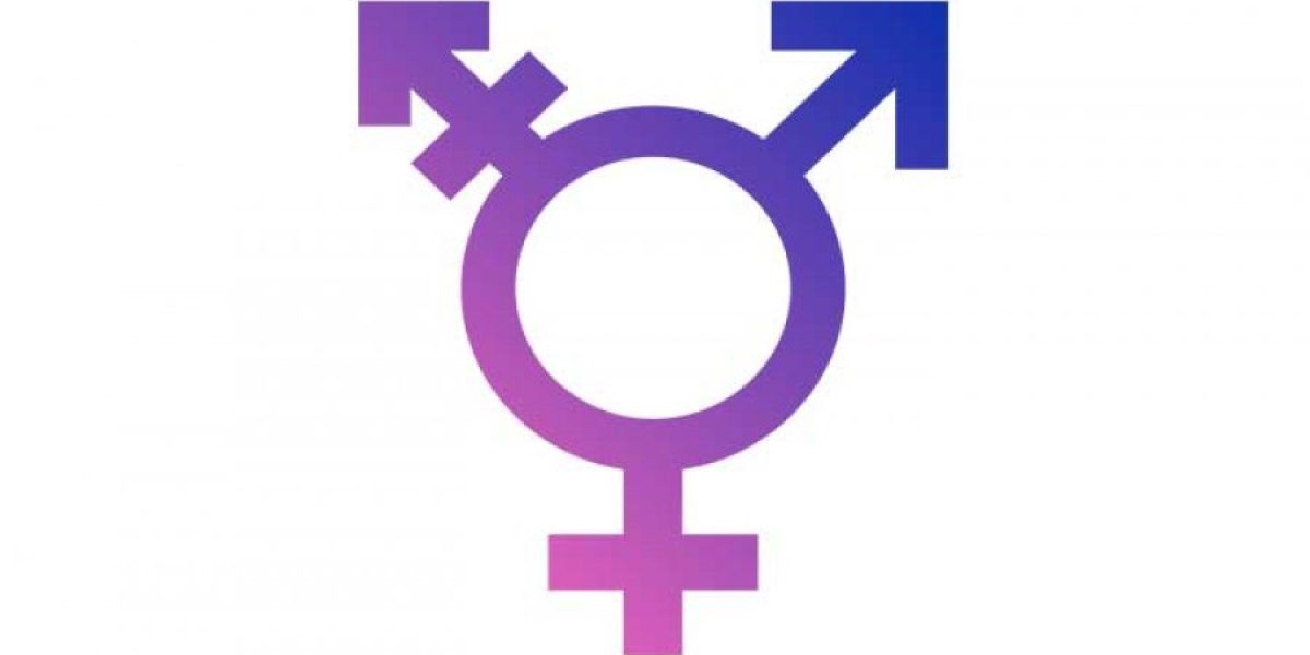 transgender persons law enough